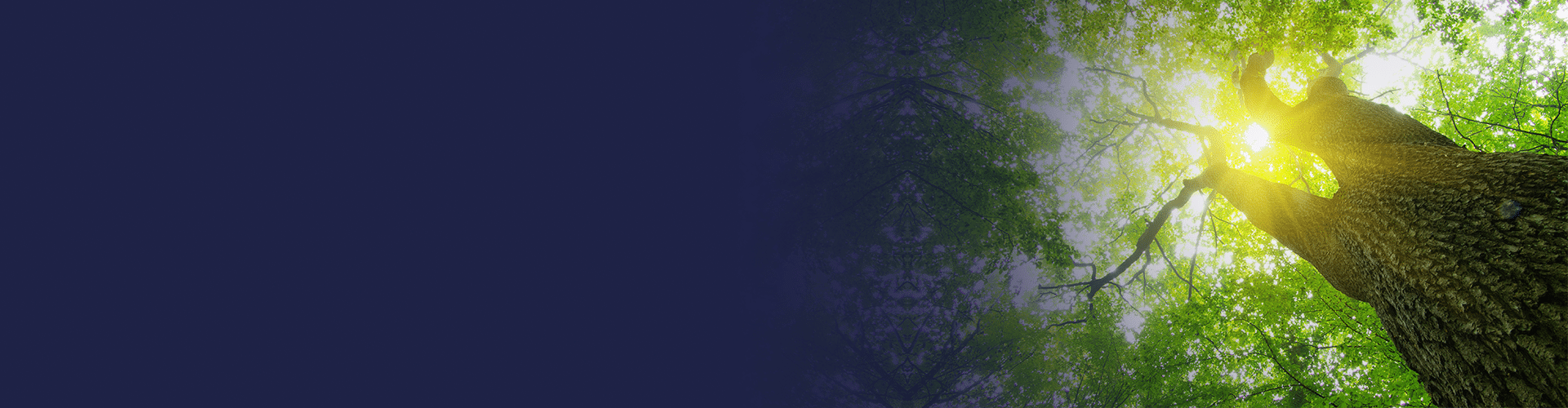 new_banner_opt_1